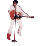 Elvis graphics