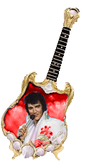 Elvis graphics