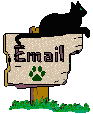 Email graphics