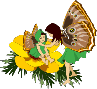 Fairies graphics