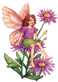 Fairies graphics