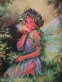 Fairies graphics