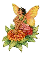 Fairies graphics