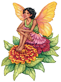 Fairies graphics