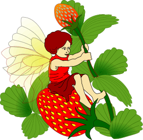 Fairies graphics