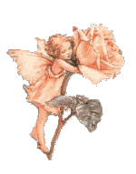 Fairies graphics