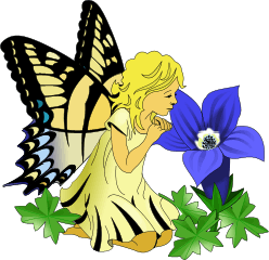 Fairies graphics