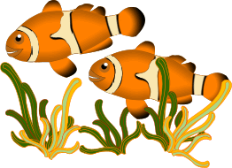 Fish graphics