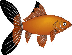 Fish graphics