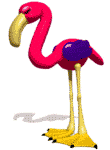 Flamingo graphics