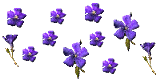 Floaties flowers