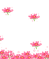 Floaties flowers graphics