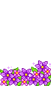 Floaties graphics