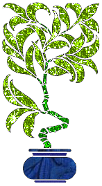 Flowers graphics