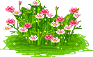 Flowers graphics