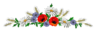 Flowers graphics