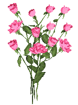 Flowers graphics
