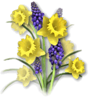 Flowers graphics