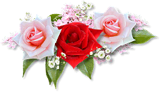 Flowers graphics