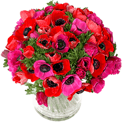 graphics-flowers-657609.gif