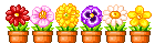 Flowers graphics