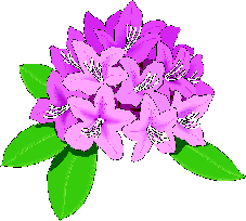 Flowers graphics