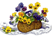 Flowers graphics