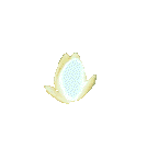 Flowers graphics