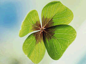 Four leaf clover graphics