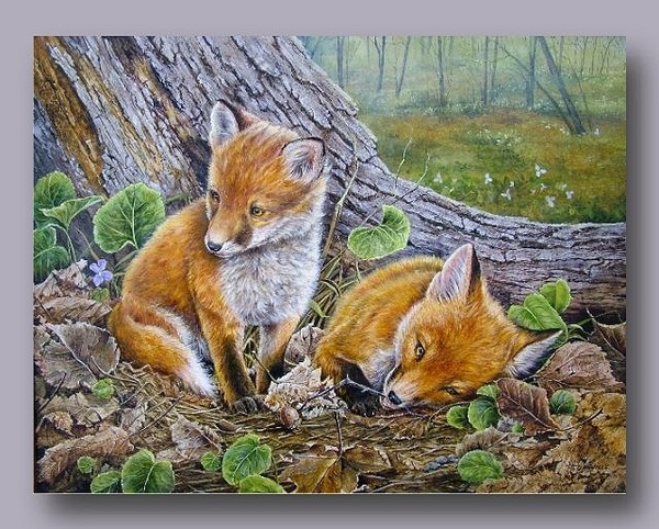 Foxes graphics