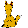 Foxes graphics