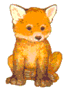 Foxes graphics