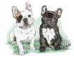 French bulldog graphics