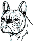 French bulldog graphics