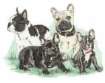 French bulldog graphics