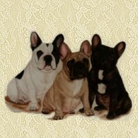 French bulldog graphics