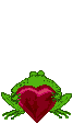 Frogs graphics