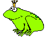 Frogs graphics
