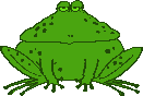 Frogs graphics