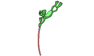 Frogs graphics