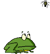 Frogs graphics