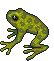 Frogs graphics