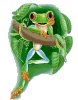 Frogs graphics