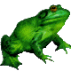 Frogs graphics