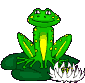 Frogs graphics