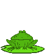 Frogs graphics
