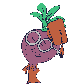 Fruit graphics