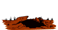 Fun graphics