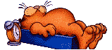 Garfield graphics