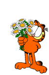 Garfield graphics